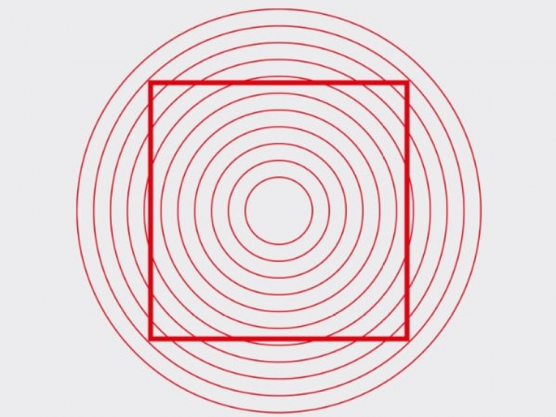 illusions d'optique et vision géométrique