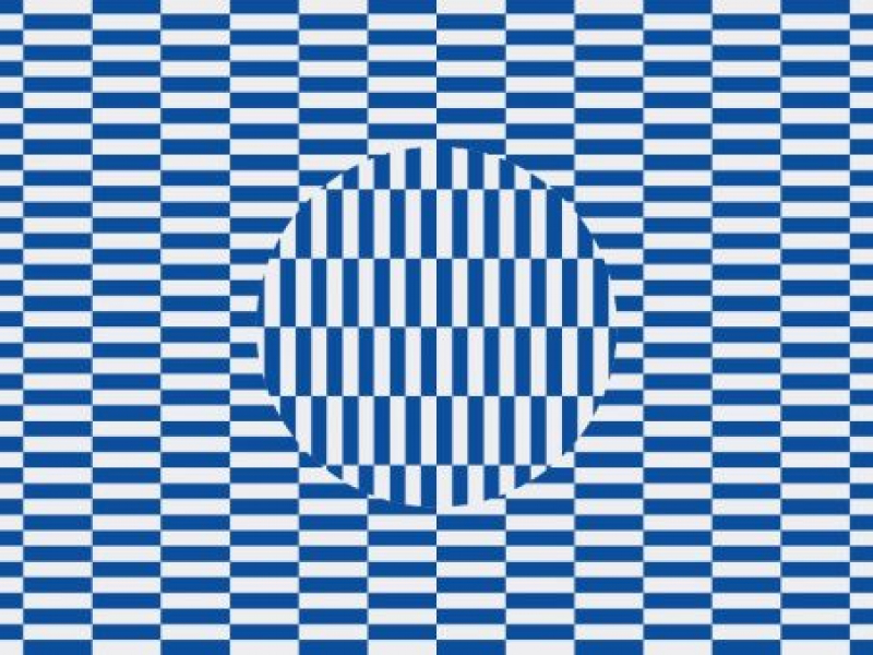 Illusion-optique-iris&octave Illusion-optique-iris&octave